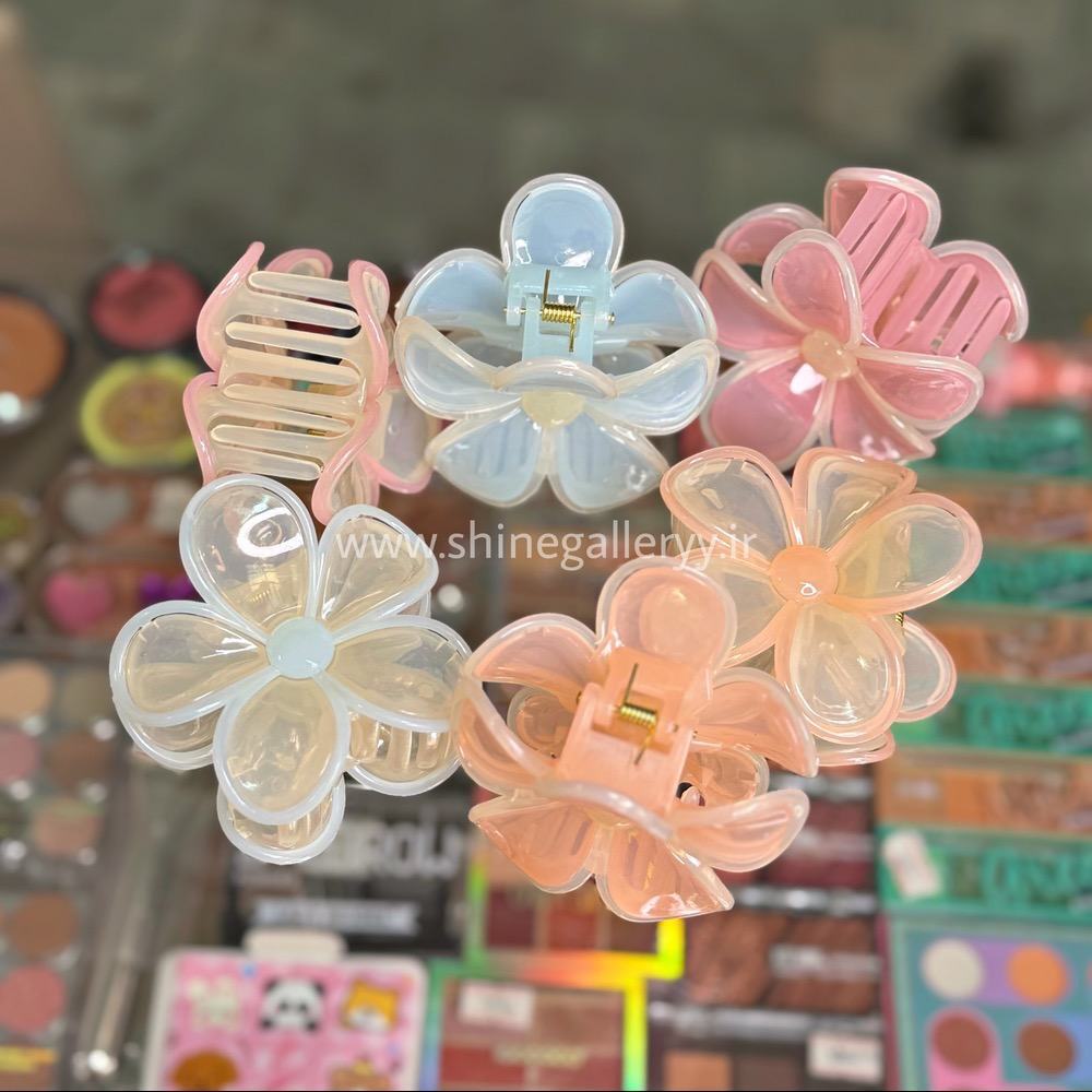  کلیپس پلومریا 